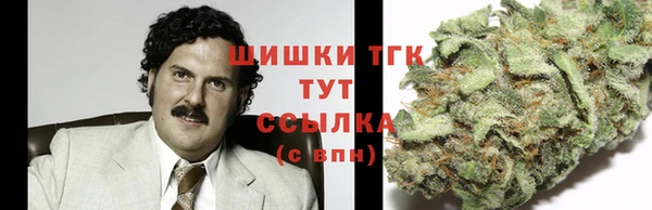 сатива Абдулино
