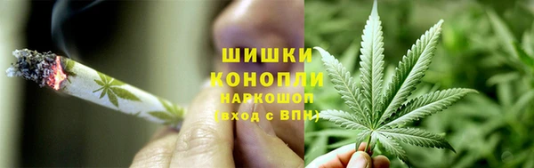 сатива Абдулино