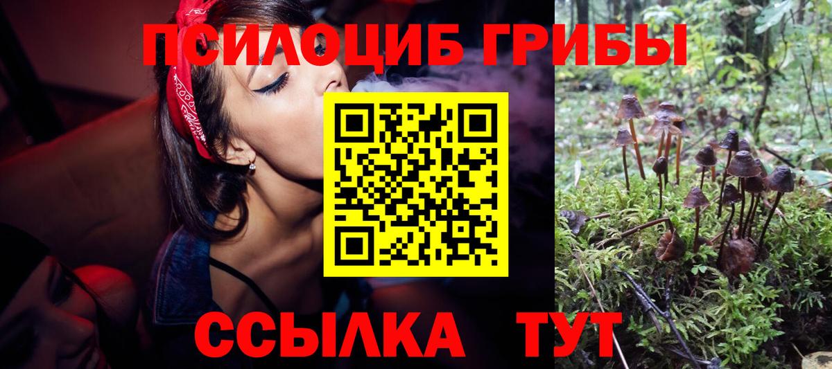 наркотики  Псилоцибиновые грибы Cubensis  Вход с VPN  Красноармейск 