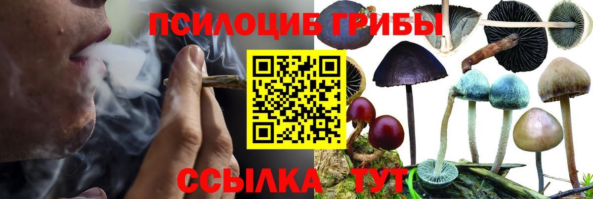 Псилоцибиновые грибы GOLDEN TEACHER Красноармейск